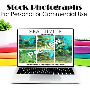 Preview of Stock Photographs- For Personal or Commercial Use (Sea Turtles)
