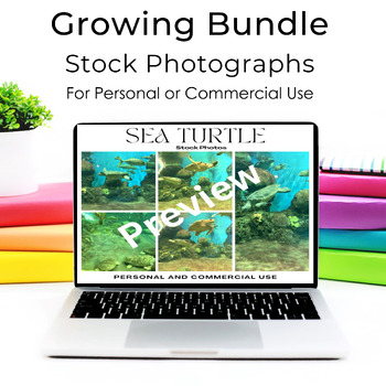 Preview of Stock Photography Growing Bundle