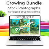 Stock Photography Growing Bundle