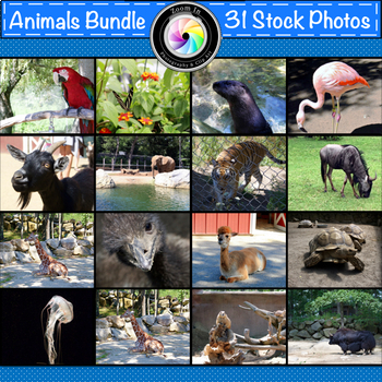 Preview of Stock Photos: Animals Growing Bundle