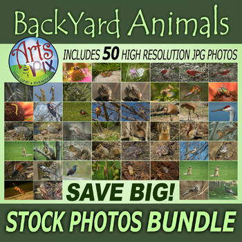 Preview of Stock Photos - "Back Yard Animals 2017" - photo pack BUNDLE - Arts & Pix