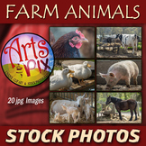 Stock Photos - "Farm Animals" - photo pack BUNDLE - animal