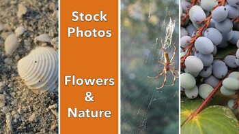 Preview of Stock Photos Featuring A Love for Nature