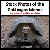 Galapagos Animals Stock Photographs for Commercial Use for