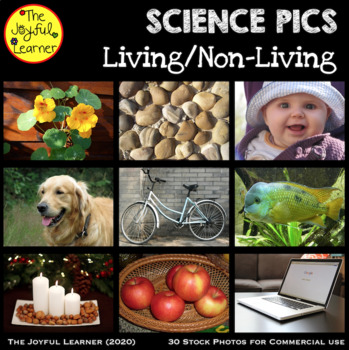 Preview of Stock Photos: Living and Non-Living (for commercial use)