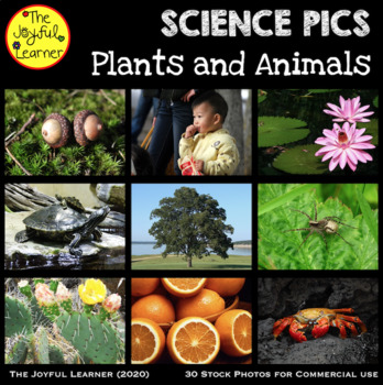 Preview of Stock Photos: Plants and Animals (for commercial use)