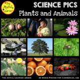Stock Photos: Plants and Animals (for commercial use)