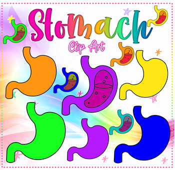 Stomach | Clip Art Illustration by Harborsidebay | TPT