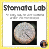 Stomata Microscope Lab