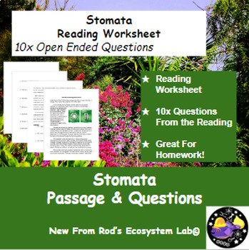 Preview of Stomata Reading Worksheet **Editable**