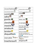 Stone Fox Vocabulary Activities