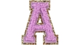Stoney Clover Inspired "Grape" Varsity Letters with gold g