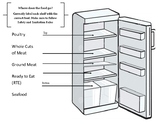 Culinary - Safety and Sanitation-Storage order Activity/Handout