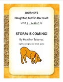 Storm is Coming - A Phonics and Word Recognition Activity
