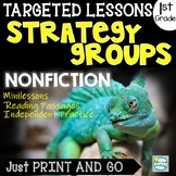 Small Group Reading Activities Strategy Groups Lessons 1st