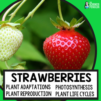 Preview of Plants Unit for Strawberry Science | 4th Grade Photosynthesis + Plant Life Cycle