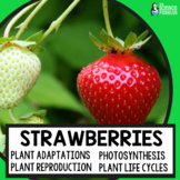 Plants Unit for Strawberry Science | 4th Grade Photosynthe
