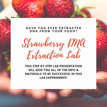 Preview of Strawberry DNA Extract Lab Presentation 