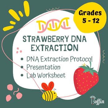 Preview of Strawberry DNA Extraction Lab, Lab Report Worksheet and Teaching Slides