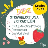 Strawberry DNA Extraction Lab, Lab Report Worksheet and Te