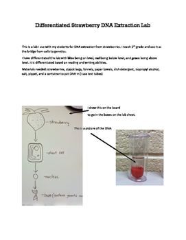 Strawberry Dna Extraction Worksheets Teaching Resources Tpt