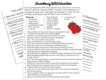 strawberry dna extraction research paper