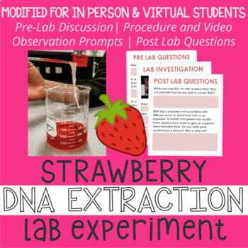 Strawberry Dna Extraction Lab Worksheets Teaching Resources Tpt