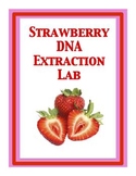 Strawberry DNA Extraction Lab, Genetics Lab, Isolating DNA