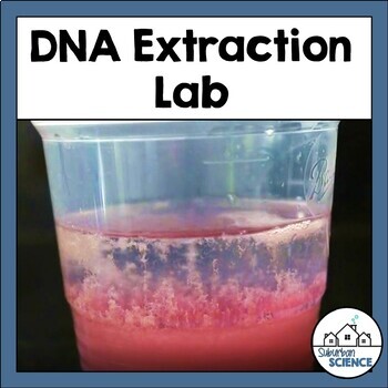 Preview of Strawberry DNA Extraction Lab with Demonstration Video- DNA Structure