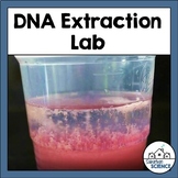 Strawberry DNA Extraction Lab with Demonstration Video- DN