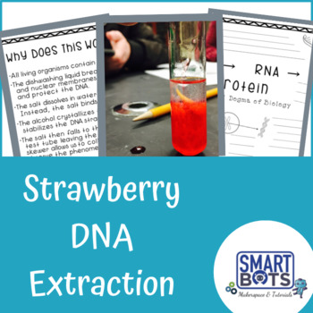 Preview of Easy Biology: Strawberry DNA Extraction