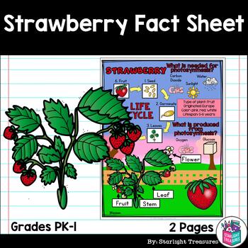 Preview of Strawberry Fact Sheet for Early Readers - Plant Study