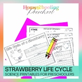 Strawberry Life Cycle Activity Pages