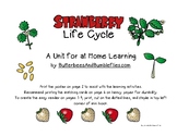 Strawberry Life Cycle Unit for Home Learning
