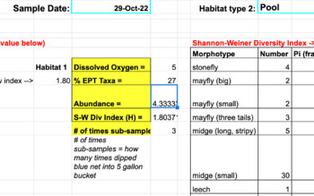 Preview of Stream Ecology: Benthic Macroinvertebrate Data Sheet (Part 4)