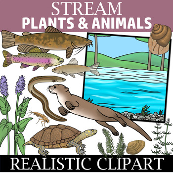 Preview of River Clipart (Stream Ecosystem Clip Art)