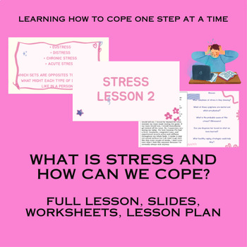 Preview of Stress 2 (Mental Health Lesson 2)