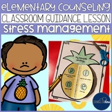 Stress Management Classroom Guidance Lesson for Elementary