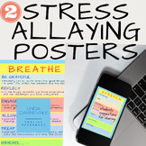 Stress Management SEL Classroom Decor-Posters + Bulletin B