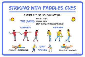Preview of Striking with Paddles Skill Cues Poster | Tennis Pickleball Racket Sport Cues |