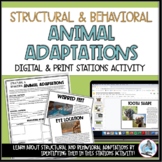 Structural and Behavioral Adaptations Stations Activity