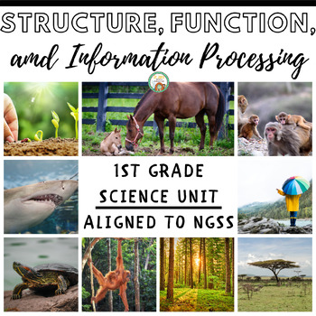 Preview of 1st Grade:  Structure, Function, and Information Processing (NGSS Aligned)
