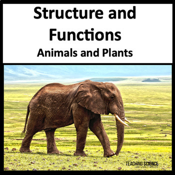 Preview of Structure & Functions 4th Grade Science Plant Animal Adaptations & Animal Senses