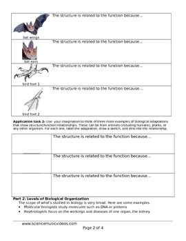 Structure and Function, Levels of Biological Organization Worksheet