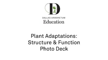 Preview of Structure and Function Photo Deck