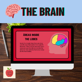 Structure and Function of the Brain: Psychology Lesson + P