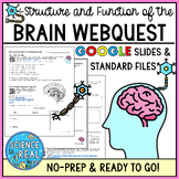 Brain Webquest - Structure and Function of the Brain Webquest
