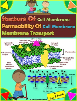 Preview of Structure of Cell Membrane, Its Permeability and Membrane Transport