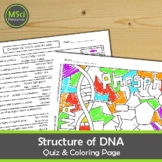 Structure of DNA Coloring Page Quiz Test Prep Review Works