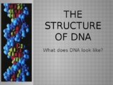Structure of DNA: PowerPoint presentation